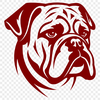 Bulldog In PNG Format - Free Digital Download, Commercial Use