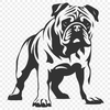 Standing Bulldog Printable Artwork - Free PNG