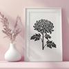 Free Chrysanthemum Illustration