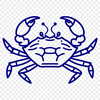 Beautiful Crab Digital Drawing