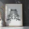 Ornate Toad Image