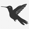 Beautiful Hummingbird Design - Free PNG Download