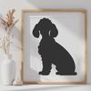 Unique Sitting Poodle Vector Image