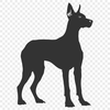 Standing Doberman Pinscher Vector Drawing - PNG Free Download