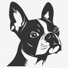 Stunning Animal Template - Free SVG Download