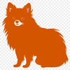 Stunning Sitting Pomeranian Digital Drawing