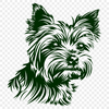 Free Beautiful Yorkshire Terrier Vector Image