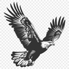 Beautiful Flying Eagle Printable Image