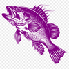 Creative Fish Vector Craft File