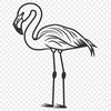 Unique Flamingo Design