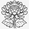 Chrysanthemum In PDF For Download, Free Commercial Use