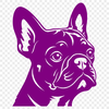 Creative French Bulldog Vector Image