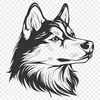 Free Stunning Husky Vector Illustration