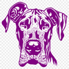 Great Dane Drawing In SVG, PNG, PDF And DXF File Formats