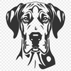 Stunning Great Dane - For Sublimation Project