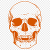 Skull Printable Image In PNG File Format For Free Download