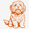 Sitting Havanese Digital Art - Free PDF