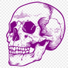 Skull In PDF Format - Free Digital Download, Commercial Use