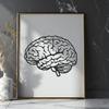 Creative Brain Printable Image In PNG For Free Download