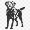 Standing Labrador Retriever SVG - Vector Art For Commercial Use