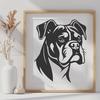 Artistic Boxer - Animal PDF