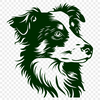 Free Australian Shepherd In PDF - Free Download