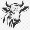 Stunning Cow Vector Art