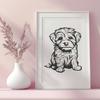 Havanese Dog Breed Portrait Vector Illustration Vector portrait of a Havanese breed dog in a seated position.