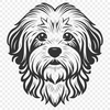 Creative Havanese - For Laser Project