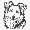 Stunning Shetland Sheepdog - Animal SVG