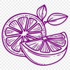 Beautiful Lemon In DXF - Free Download