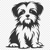 Morkie Vector Drawing In SVG File Format For Free Download