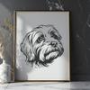 Unique Havanese Artwork