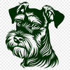 Miniature Schnauzer Image In SVG, PNG, PDF And DXF Formats