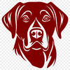 Labrador Retriever Artwork In PDF File Format For Free Download