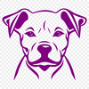 Free Pitbull In PDF Free Commercial Use Download