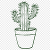 Cactus Drawing In SVG, PNG, PDF And DXF File Formats