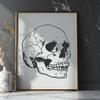 Stunning Skull - Witchcraft PNG