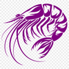 Beautiful Shrimp Digital Artwork - Free PNG Download