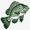 Beautiful Fish - Cricut PDF