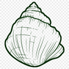 Free Creative Seashell - Free SVG Download, Commercial Use