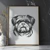 Unique Shih Tzu - Procreate PNG