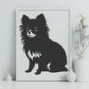 Stunning Pomeranian In PNG - Free Download