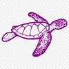 Free Beautiful Sea Turtle Vector Drawing