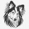 Free Shetland Sheepdog Vector Drawing