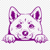 Peeking Shiba Inu Vector Drawing