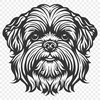 Artistic Shih Tzu Image