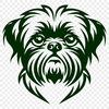 Free Stunning Shih Tzu Printable Image