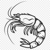 Free Prawn In DXF - For Free Download, Commercial Use