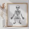 Stunning Skeleton PNGs - Free Download